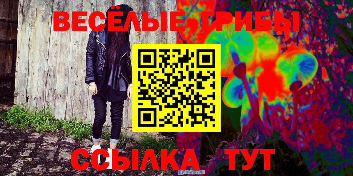 Псилоцибиновые грибы прущие грибы Урюпинск