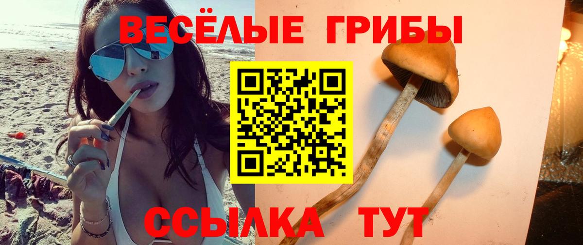 Урюпинск  Галлюциногенные грибы Magic Shrooms  Псилоцибиновые грибы ЛСД  Вход с VPN 